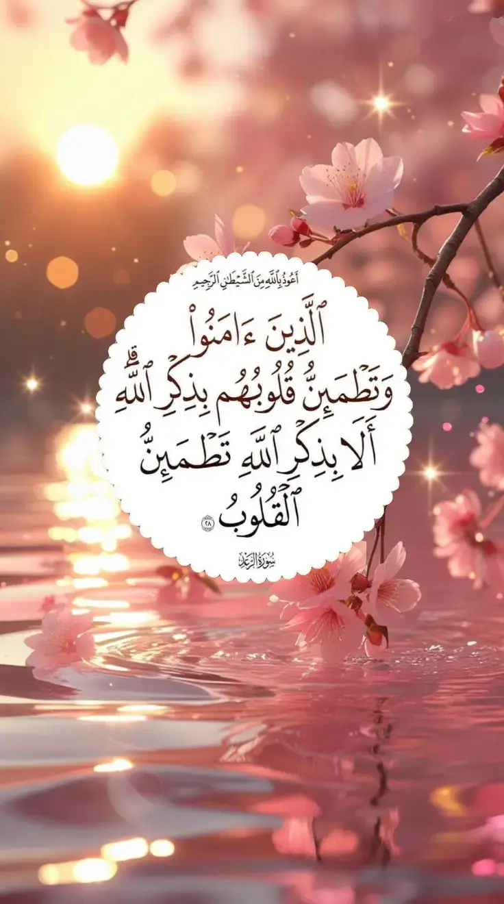 #fyp #fypage #اكسبلورexplore 
