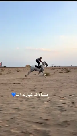 #الخرمه_الغريف_رنيه_رماح #خيل_وخياله🐎 #خيل_عربي_اصيل🐎🐎 #اذركروالله #برق #وقوف#على #ظهر#الجواد