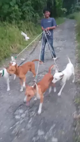 #fypp #team🌠 KLK#jalanjalansoree #vidiosingkat