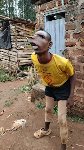Jubati