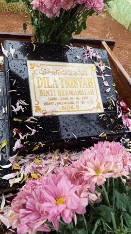 Hai Cuk 🥺🤍 Maaf aku baru bisa main ke rumah baru u, sudah lebih 40 hari ya cuk u pergi. Kangen dil, suara cempreng u, cengengesan u, hal” random dari u masih terngiang” cuk, percaya ga percaya tapi pas hari ini aku ke lahat ga ada text dari u yang biasanya ngajak nongkrong 🥺🤍. Dil hari ini aku dengar cerita dari ayah ibu u dan aku cemburu dil dengan cara u pergi, dan aku semakin yakin dil u memang orang pilihan Allah dil, pergi dengan cara yang baik dan dihari yang baik.  Selamat istirahat di tidur yang panjang dil 🥹🤍 seperti yang kau bilang sama ayah ibu u beberapa hari sebelum u pergi kalau u memang sudah di surga 🥺🤍. Sampe ketemu lagi ya dil. Sering” main ke mimpi aku, maaf klo aku masih sering nangisin u.  Al-Fatihah Dila Trisyah binti Hermansyah 🥀 Lahat, 04 Juni 1999 - Palembang, 25 Juli 2025 🕊️