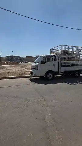 حسن تصويري هاذا ها 😂😂😂😂😂😂😂🌸 #لايك_متابعه_اكسبلور #جمبازيه__العراق_شعبه_الجمبزه #لعيون_اخوتي_الاصايل_فقط #ام_البيت #اسود_بويه_اسود______أصايل_😄_ 