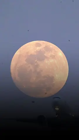 #فضل_شاكر #وغلبني#ذكريات_الزمن_الجميل #تصميم_فيديوهات🎶🎤 #ليك______🖤___متابعه____اكسبلووور 