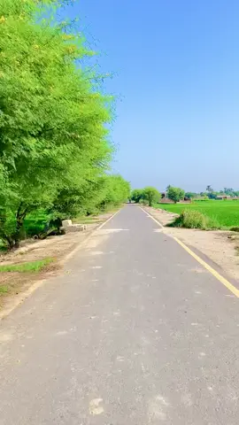 Real Village Life #villagelife 