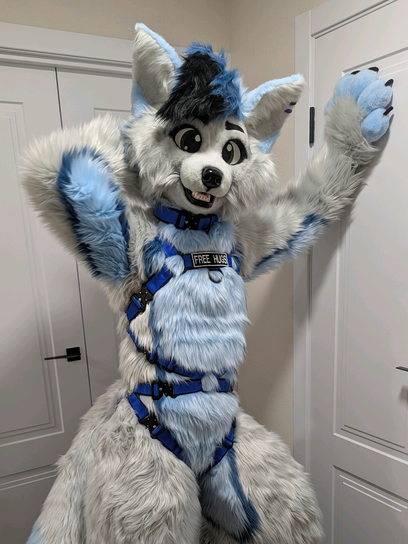 #Furry #Furrsuit #fyp #foryoupage  This #FursuitFriday I'm trying on my new Bulldog Harness!