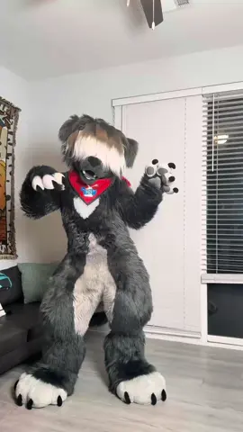 Just your average dumb dog😅 #furry #furryart #furryfandom #art #fursona                    