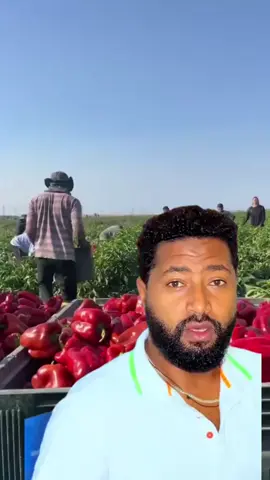 #canada_life🇨🇦 ##ካናዳ#ethiocanada🇪🇹🇨🇦 #workvisa 