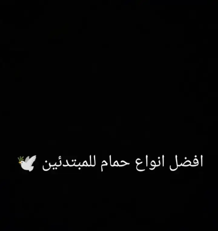 #🥰🥰🥰 #غاوي_حمام❤🕊 #حمام  #الغاوي🕊️ #foryou 