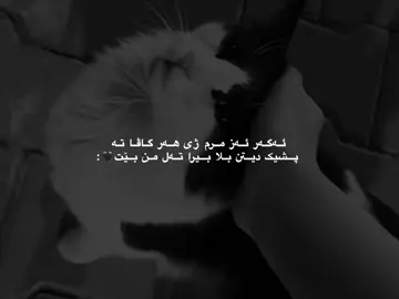 ❤️‍🩹❤️‍🩹.#fouryou #fybシ #actives #tiktok @#foryou 