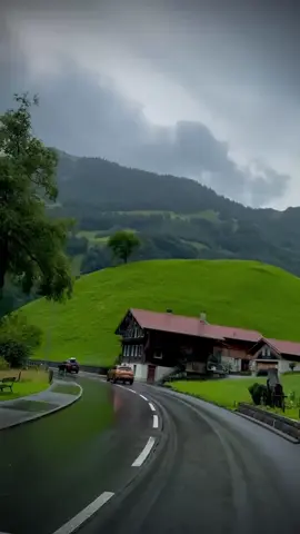 Green 💚 Switzerland 🇨🇭 #switzerland #naturevibes #swissbeautiful #naturelover #fyp 