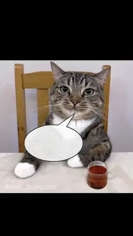 como vencer o tempo  ludoviajante  #ludoviajante #filosofia #limerence #tempo 