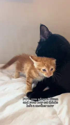 And it’s only his second day with us, I can’t wait to watch them grow together🥹