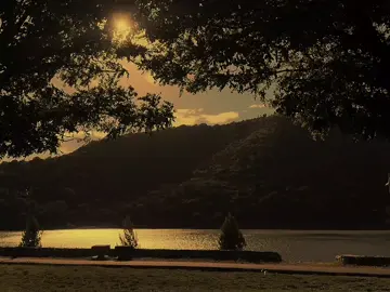 لاترد مات الورد