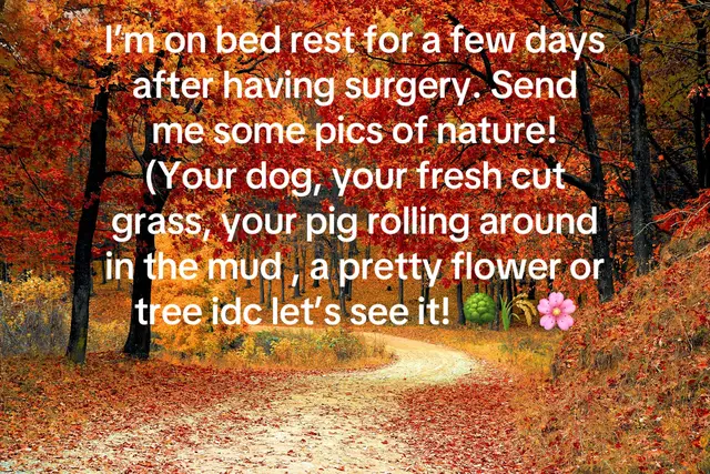 #nature #Outdoors #animals 