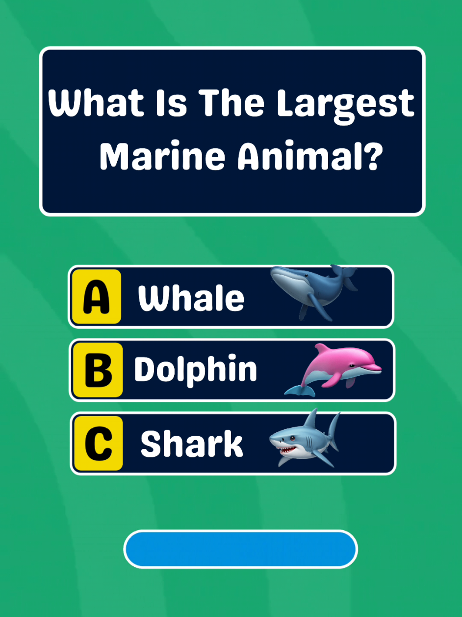 Animals Quiz 🐩 🦧🦙 #quiz #quiztime #uktiktok #africantiktok #usa_tiktok 