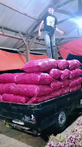 #drivermuda #fyppppppppppppppppppppppp #brrebes24jam #fypage #berandatiktok 