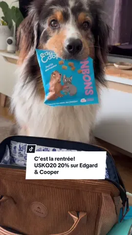 C’est la rentrée ! Profitez de 20% sur @Edgard & Cooper sur votre première commande à partir de 20 € d’achat avec le code USKO20 ! Idéal pour remplir les cartables 🤭 Collaboration commerciale, produits offerts.  #friandises #bergeraustralien #codepromo #edgardcooper #friandisespourchien 
