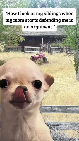 #Meme #MemeCut this is so real 