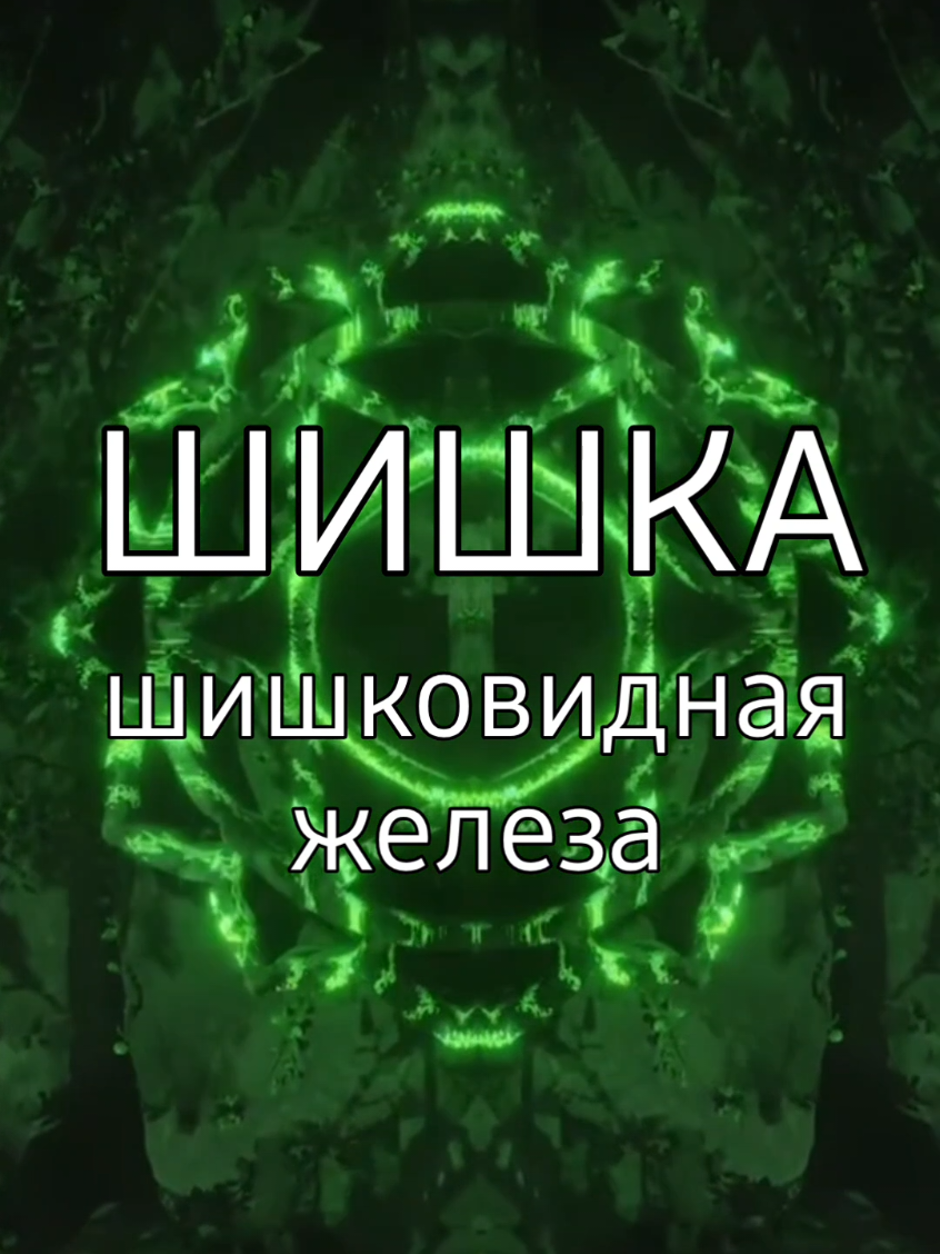 #andromeda