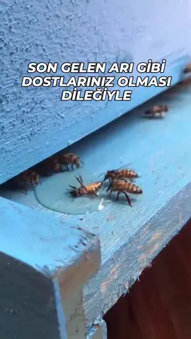 🙏insanın olacaksa böyle dostları olmalı  dostum diye sarıldığınız insanlara dikkat edin! insan düşmeye görsün 