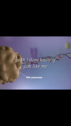 DNA & RNA #dlaciebie #fyp #foryou #biology #study 