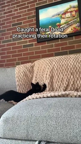 A rare and wild sighting of a feral Druid practicing their rotation only to end up at the bottom… what does world of Warcraft have against poor feral Druids… the world may never know  #worldofwarcraft #thewarwithin #gaming #druid #catsoftiktok 