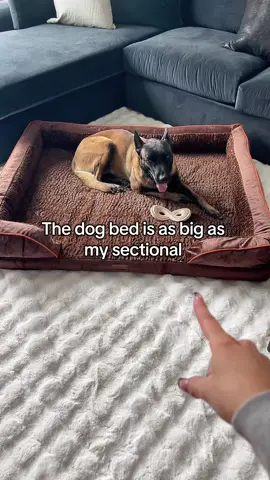 Double XL Dog Bed for the Comfiest Pup Naps Ever #DogBed #XLDogBed #ComfyPets #PetEssentials #CozyDogLife 