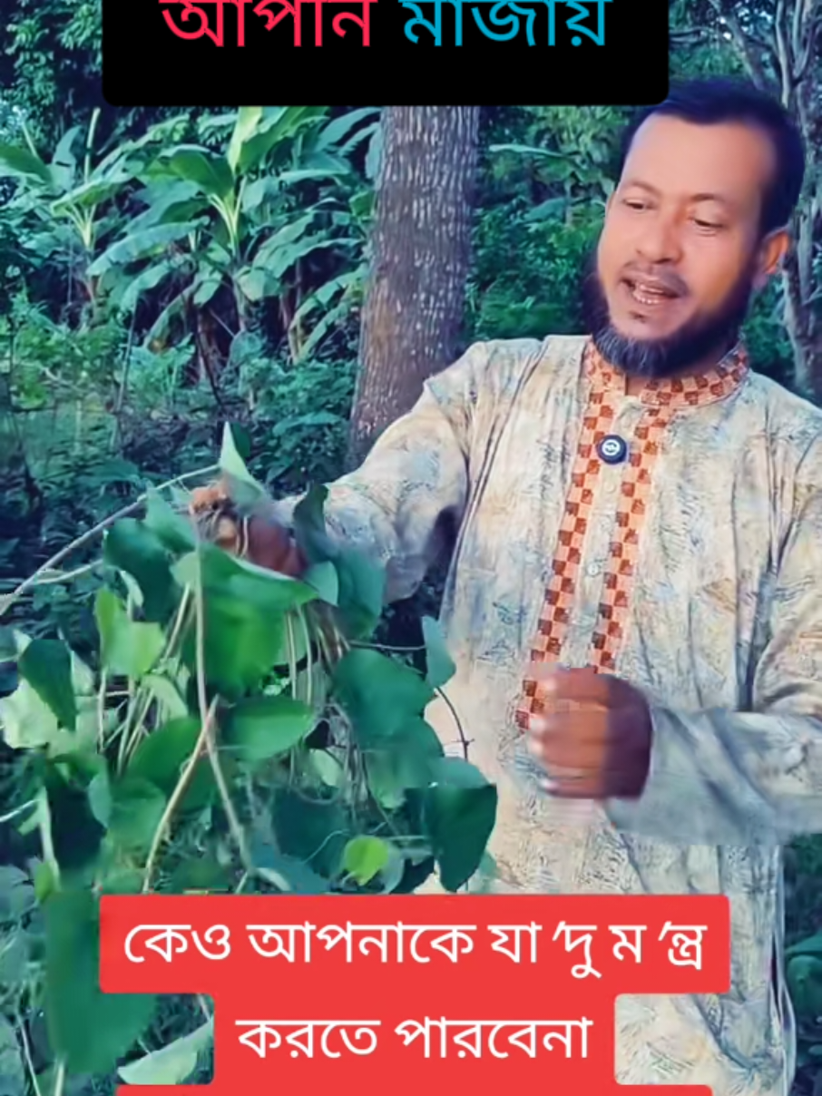 কেও আপনাকে যাদুমন্ত্র করতে পারবেনা এই গাছ ব্যাবহার করলে। @TikTok Bangladesh @TikTok for Good @TikTok Indonesia @For You @For You House ⍟ @BanglaVision 