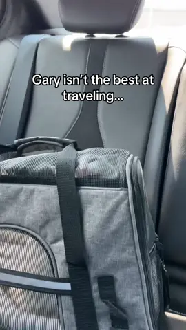 Gary takes on traveling @PetSmart is the place for all Health & Wellness products for your pets!!! #ad #PetSmart #PetSmartPartner #AnythingForPets