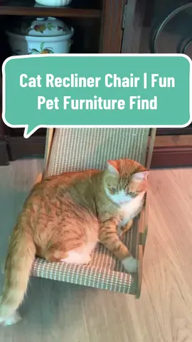 Apparently my cat has their own recliner now 😹 This kitty chair is easy to set up, surprisingly comfy, and the funniest little piece of cat furniture. Honestly, they love it more than the couch. #CatLovers #CatFurniture #PetTok #CozyCat #PetParents