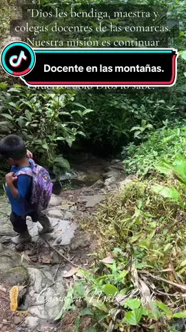 #dificilaccesopanamá🇵🇦 #panamacity @DianamontezP #panama🇵🇦 #meducapanama #educacionpanameña 