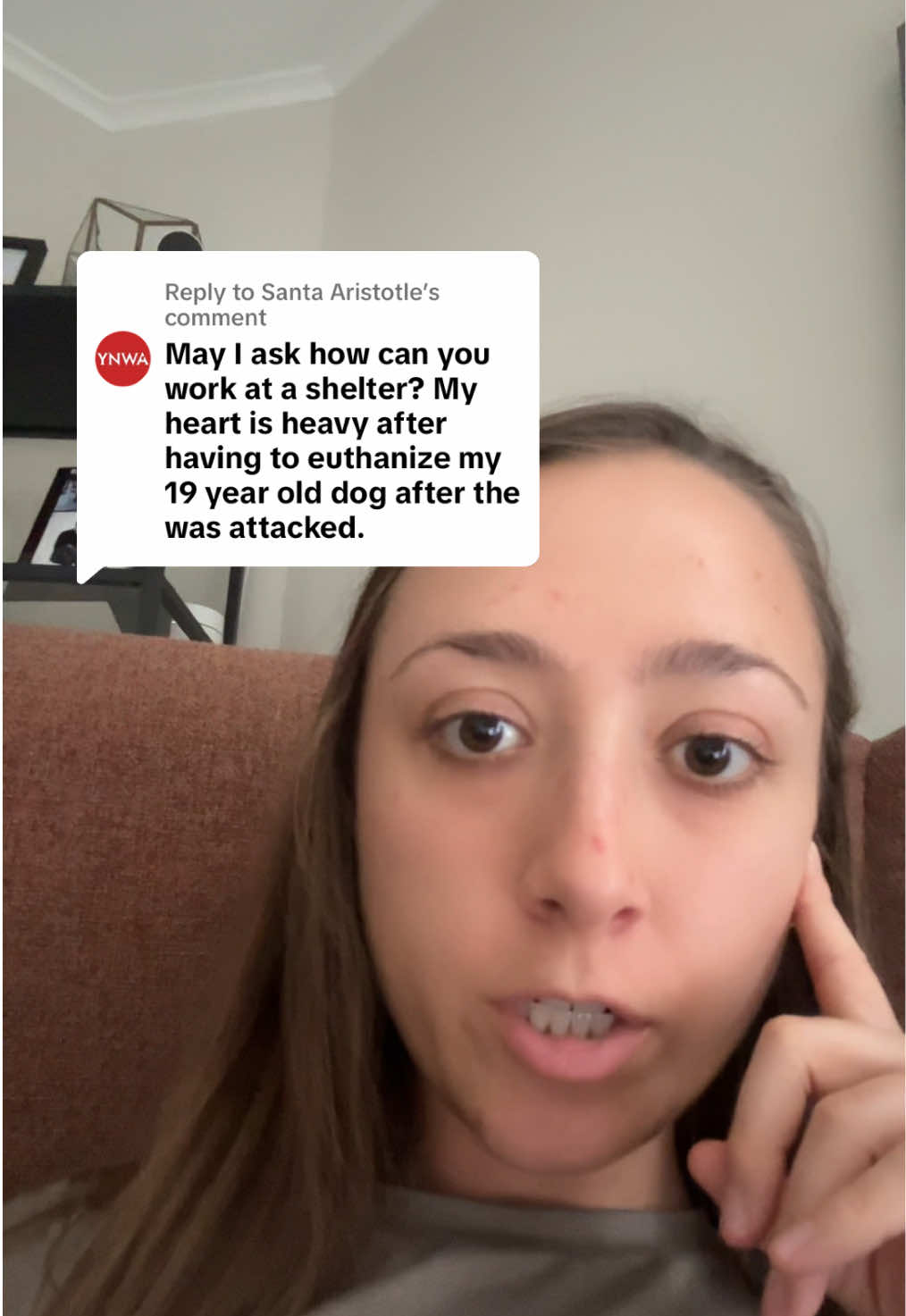 Replying to @Santa Aristotle 