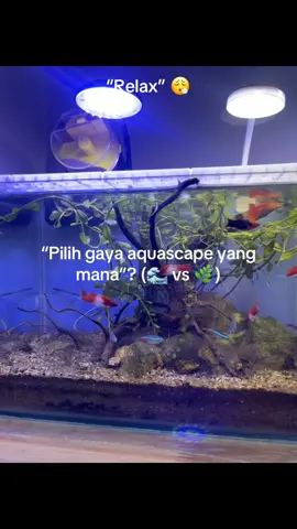 “Aquascape ini bukan sekadar hobi, tapi karya seni hidup 🌿🐟. Mana yang lebih menenangkan: suara air atau gerakan ikan? ✨ ⬇️ Komen biar aku tau kamu tim #HealingAquascape atau #MiniJungle” #Aquascape #AquascapeIndonesia #fyppppppppppppppppppppppp        
