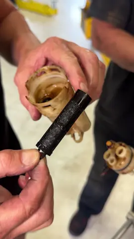 Bio Diesel Fuel. Be Very Cautious About your Source #autoshop #autorepair #enginebuild #enginerepair 