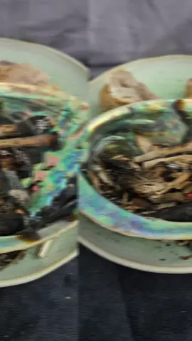 prayers up to creator,  our ancestors,  relatives   for gifting me,  family,  friends,  loved ones another wonderful day.  creator,  my ancestors,  relatives,  i as that you help me,  my family,  to be strong in our healing journeys,  to stay focused,  grounded,  culturally strong throughout our struggles.  I thank you always,  with honor,  respect,  love,  compassion and understanding ❤️  thank you 🧡🧡🧡🧡🪶🪶🪶🪶🪶🪶🐻‍❄️🐢