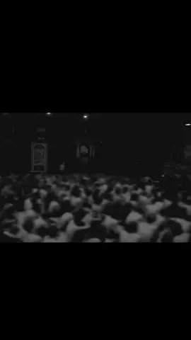 #سيد_فاقد #سيد_فاقد #سيد_فاقد_الموسوي #الشور_حتى_الضهور #سيد_فاقد_الموسوي♡ 