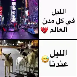 🤣🤣🤣تابعوني فضلن وليسا أمرن تابعني