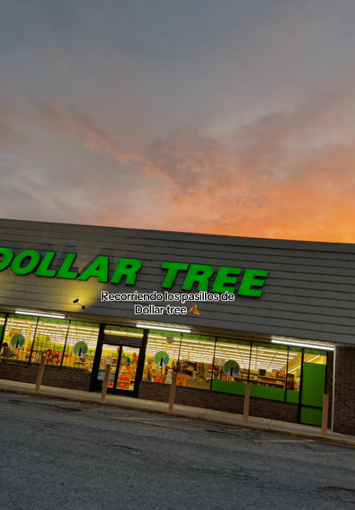 Me encanta pasar a @Dollar Tree  #dollartree #dollartreefinds #dollartreediy #fyp #parati 