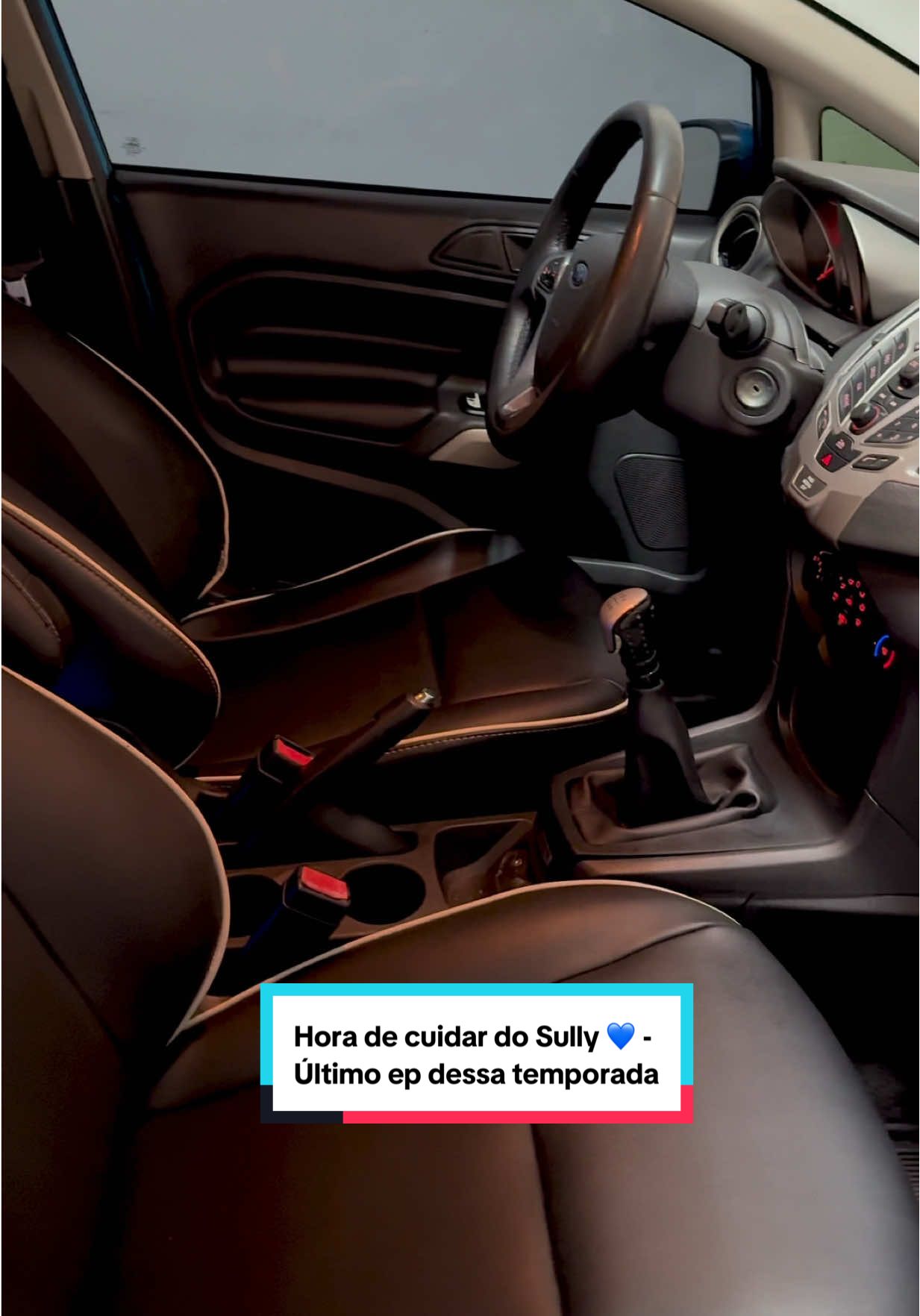 Espero voltar em breve com mais sagas do sully 🚙💙🤩 #fy #foryou #primeirocarro #Vlog #conquista 