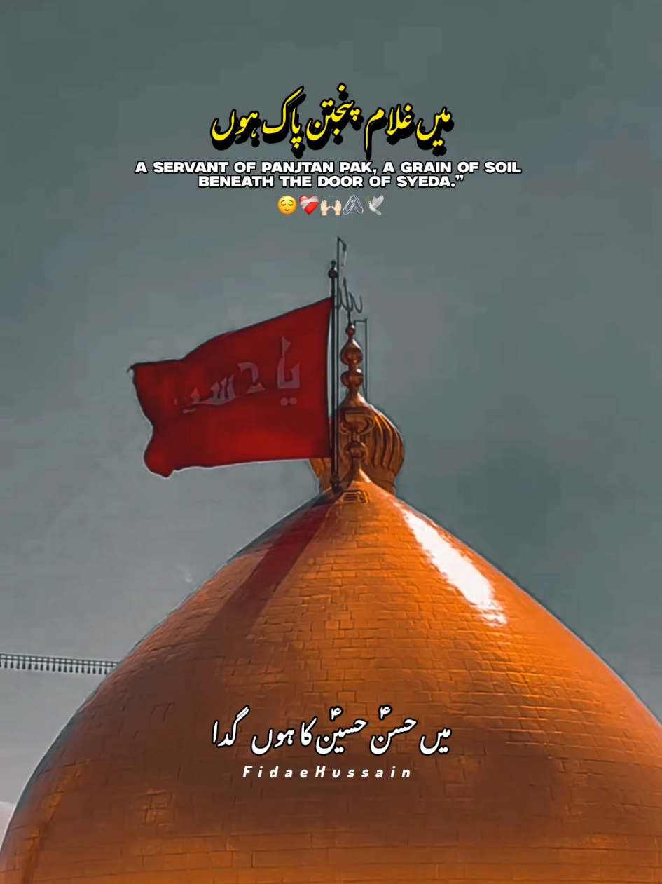 Main Gulam e Panjtan Pak Hoon 😌🙌🏻🌸✨🌸 #panjtanpak #qaseeda #status #yarasoolallah❤❤ #plzdontunderviewsmyvedios 