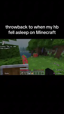 lol had to upload this#fyp #Minecraft #funny 