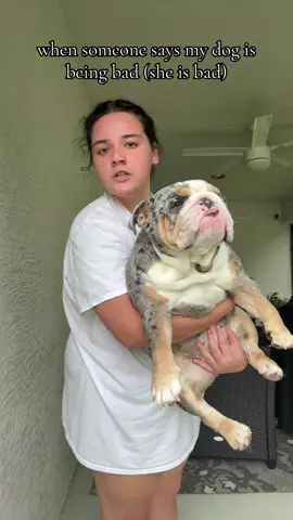 chonky is not bad #fyp #viral #englishbulldog #foryou 