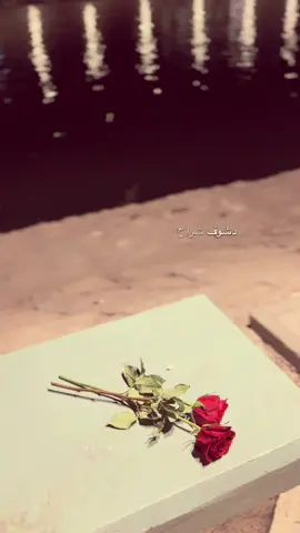 #fyp #rival #فلو_من_لكسبلور💛 