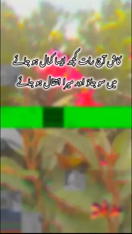 Hayee line's Yar 🫶🔥💯  .... Repost Request 💕💫🥀❤️🔂#🥺😭😔💔💔 #mayotypes #aestheticvideos #unfreezemyacount #growmyaccount 