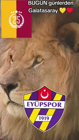 Eyüpspor Galatasaray skor tahminlerini yazın 💛♥️🔥🦁#eyüpspor💜💛 #Galatasaray #keşfet 