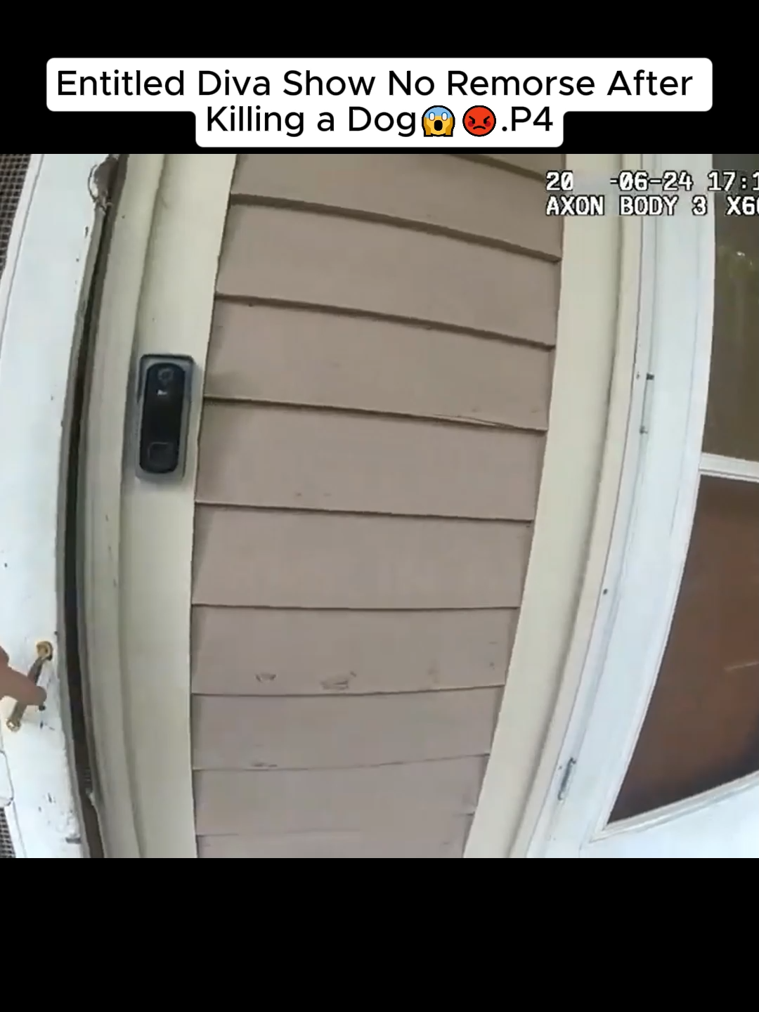 Entitled Diva Show No Remorse After Killing a Dog😱😡