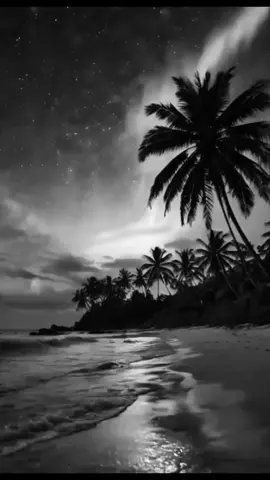 الكلمة كرصاصة إذا خرجت لا تعود #اقتباسات  #اقتباسات_عبارات_خواطر  #حكم #اقوال_وحكم_الحياة 