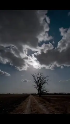 تنازلنا ونزلنا ..وصرنا لاشات.... #creatorsearchinsights # #4u   #explorepage #song #شواخ_الاحمد 