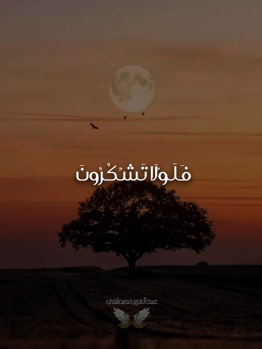 #سعود_الفايز #سورةالواقعة#قران #quran_alkarim 