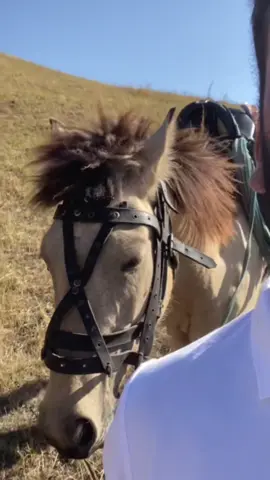 Yoxdu dərmanım naçaram. 🫶🏻🌹 #kəşfet 